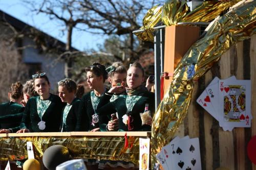 Faschingszug23 (100)
