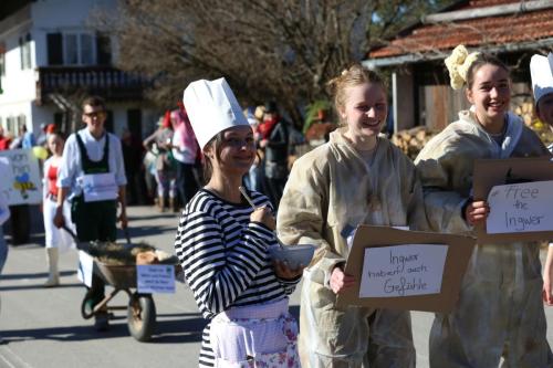 Faschingszug23 (105)