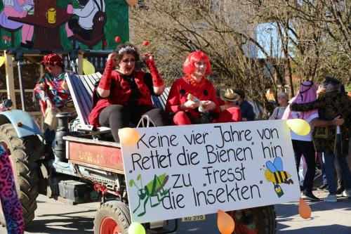 Faschingszug23 (107)